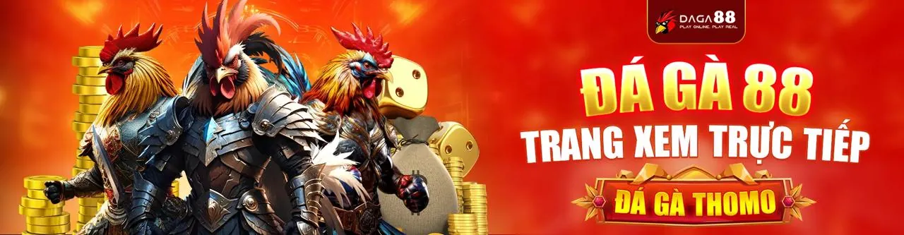 Trải nghiệm đá gà trực tuyến hk88, sân chơi đấu trường gà chọi hấp dẫn